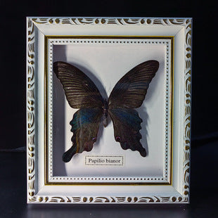 Butterfly crafts teaching collection decorations swallowtail butterfly three-dimensional ornaments