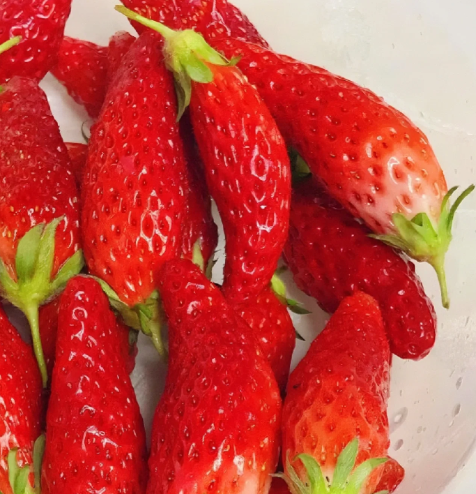 Rare Chili Strawberry Fruits Seeds