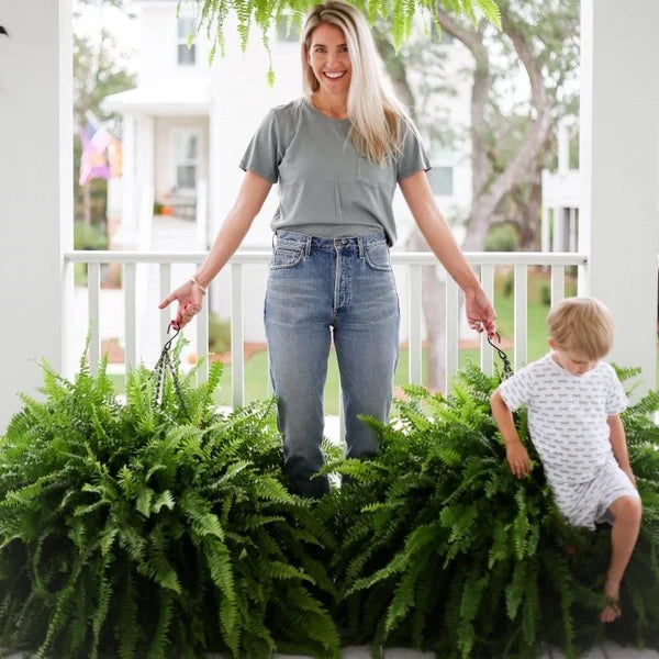 💥This Week's Special Price $18.99🌱UV Resistant Lifelike Artificial Boston Fern