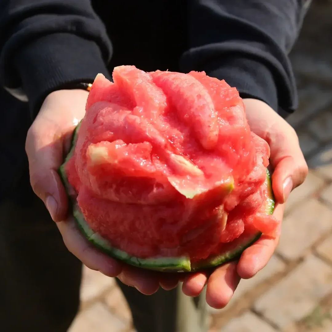 🍉Thin Skin Ruby Mini Watermelons Seeds