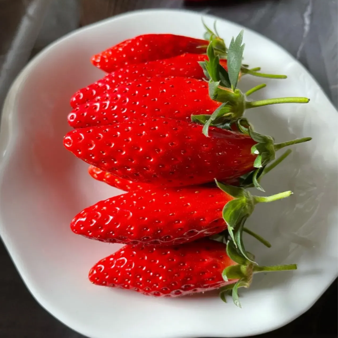 Rare Chili Strawberry Fruits Seeds