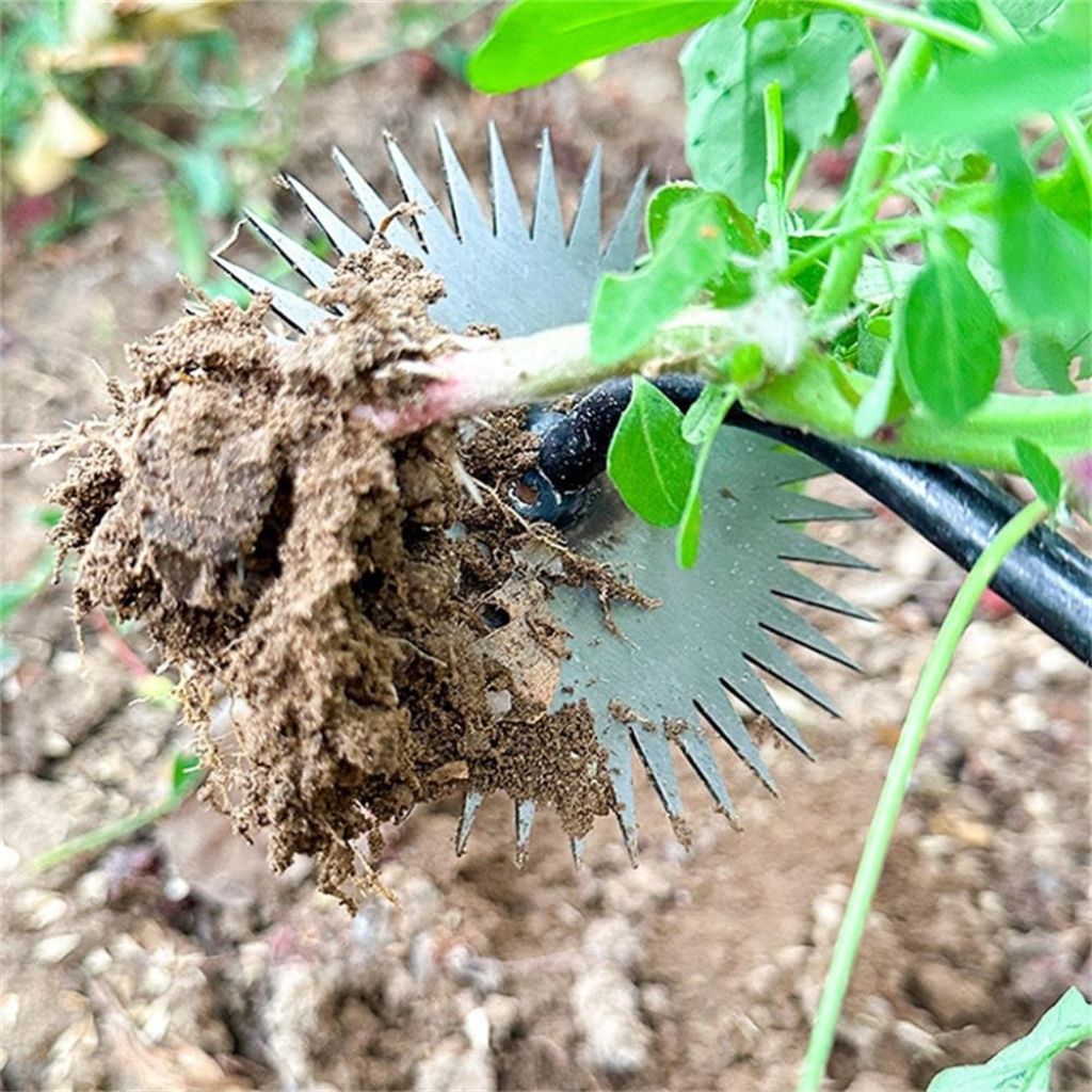 Sunflower hoe with wooden handle