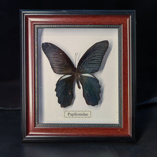 Butterfly crafts teaching collection decorations swallowtail butterfly three-dimensional ornaments