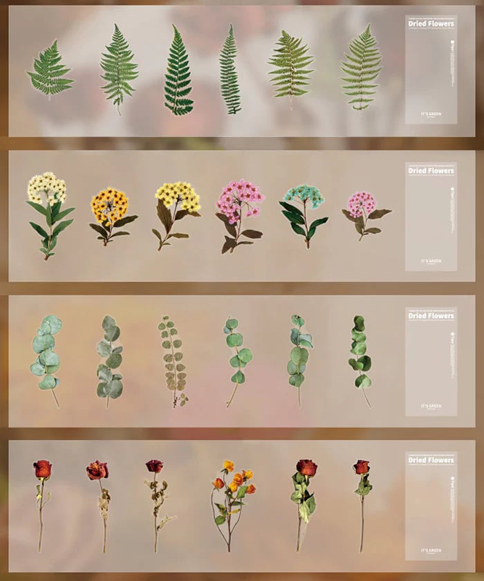 Large size dried flower sticker set