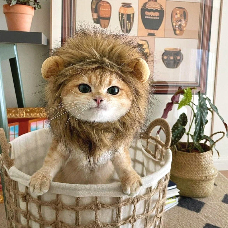 Cute Lion Mane Cat Costume Wig