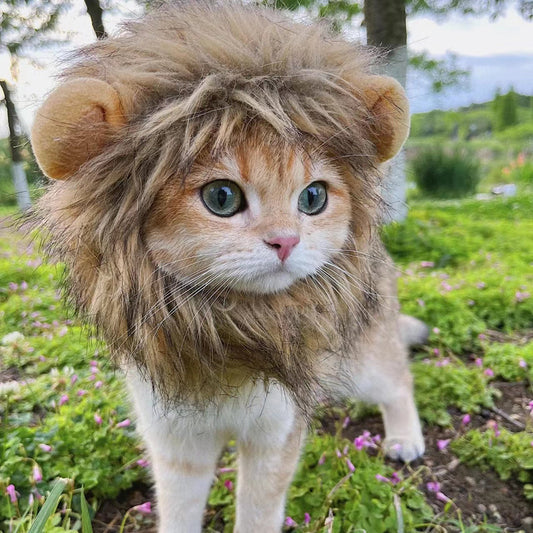 Cute Lion Mane Cat Costume Wig