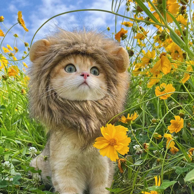 Cute Lion Mane Cat Costume Wig