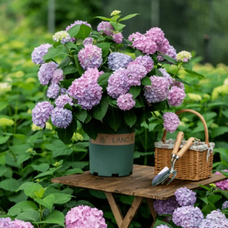 Last Day 70% OFF💐Outdoor Artificial Hydrangea Flowers