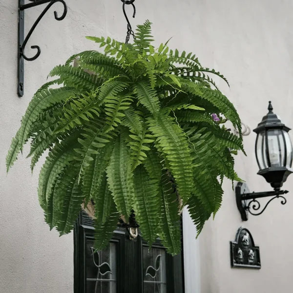 💥This Week's Special Price $18.99🌱UV Resistant Lifelike Artificial Boston Fern