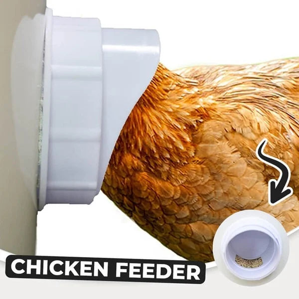 (🔥 NEW-50% OFF)DIY Chicken Feeder