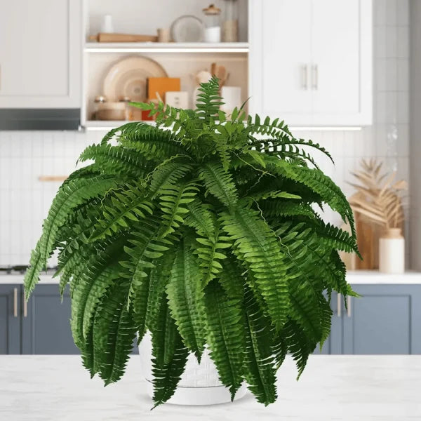 💥This Week's Special Price $18.99🌱UV Resistant Lifelike Artificial Boston Fern