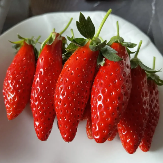 Rare Chili Strawberry Fruits Seeds