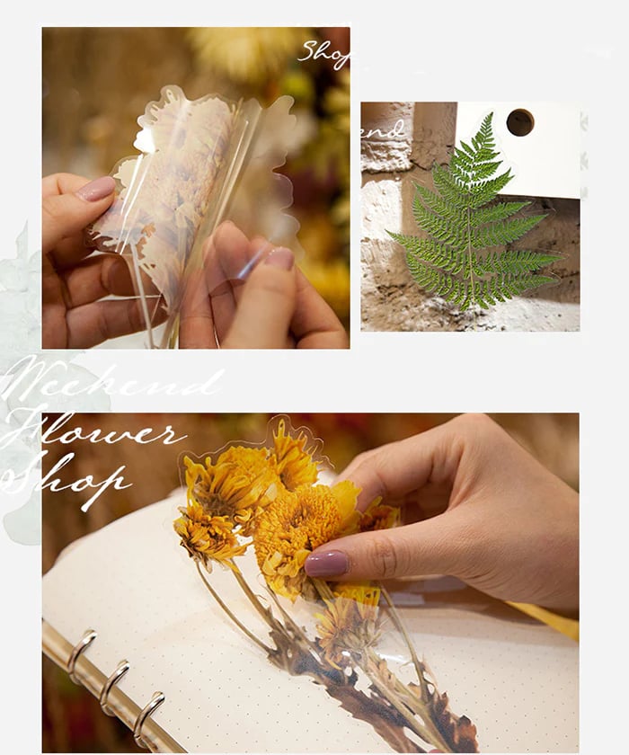 Large size dried flower sticker set